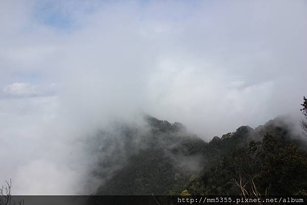 0311仙山 (25).JPG 0311仙山 (25).JPG