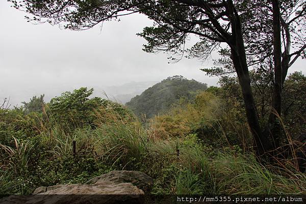 0325龜山福源山步道 (34).JPG