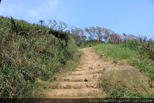 0408瑞芳海園古道 (30).JPG