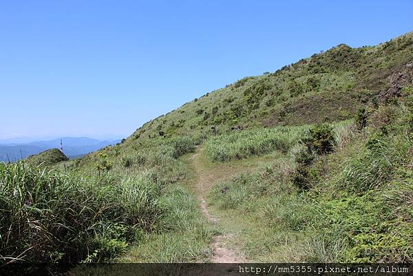 0429大粗坑古道金瓜石露頭 (66).JPG