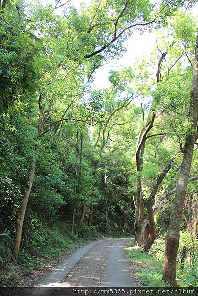 I0716社頭長青步道麒麟山 (36).JPG