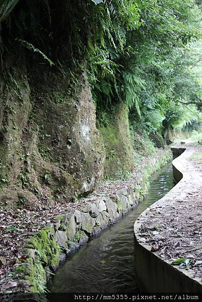 0805永公步道 (26).JPG 0805永公步道 (26).JPG