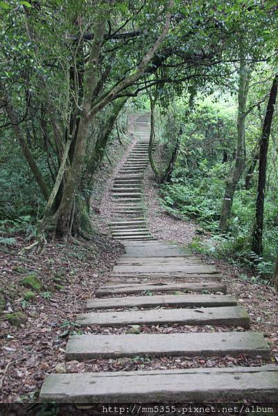 0909姜子寮山 (11).JPG 0909姜子寮山 (11).JPG