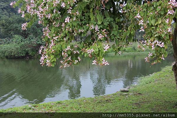 1209三坑生態自然公園 (32).JPG