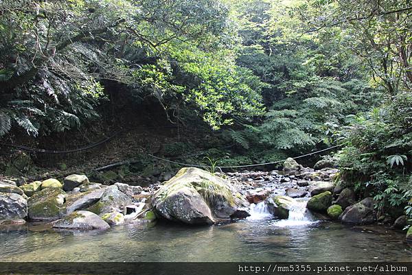 0401燦光寮、貂山古道 (8).JPG