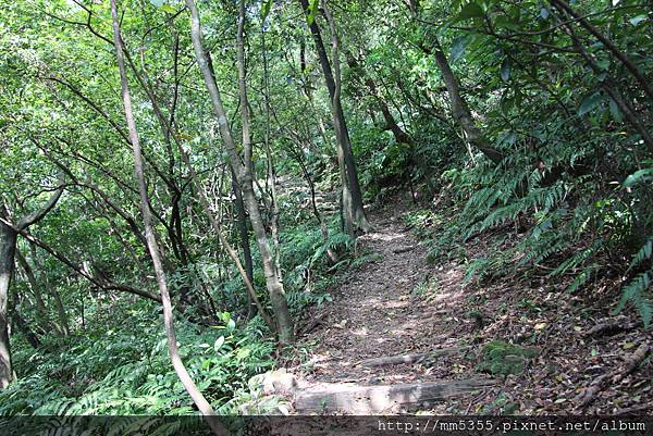 0401燦光寮、貂山古道 (32).JPG