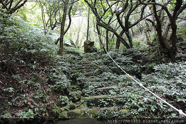 0401燦光寮、貂山古道 (40).JPG