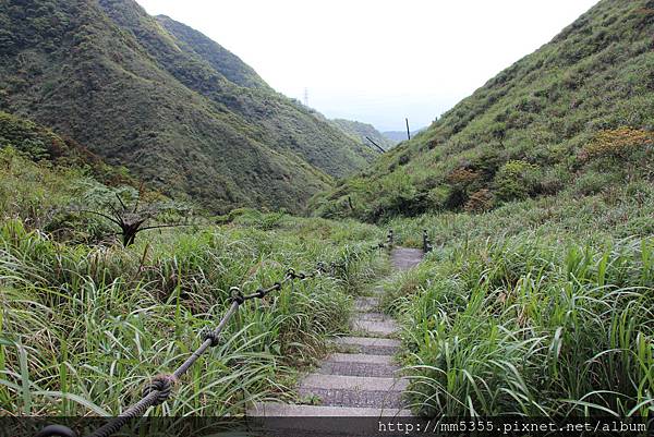 0401燦光寮、貂山古道 (83).JPG