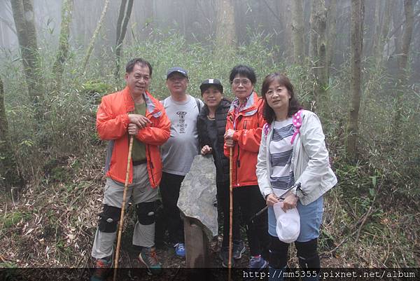 0512樂山林道巨木群MG_5282 (11).JPG