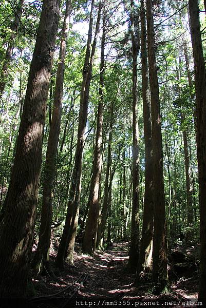 0513野馬瞰山 (30).JPG