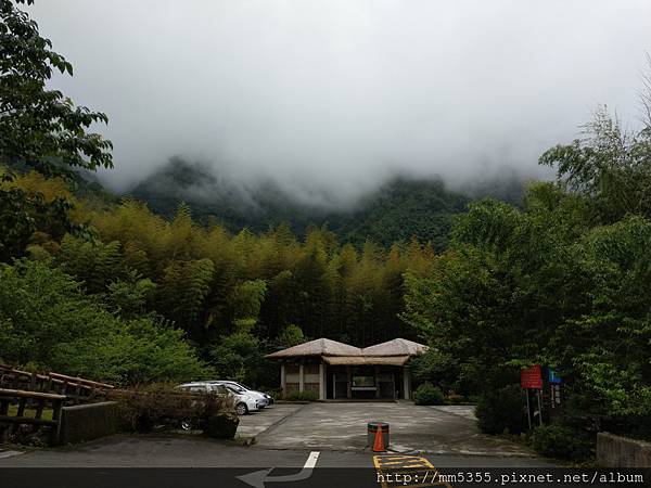 0616遊阿里山迷糊步道 (7).jpg