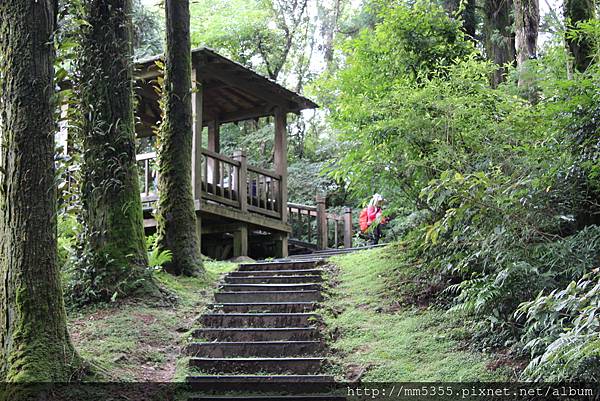 0623東眼山自導式步道 (17).JPG