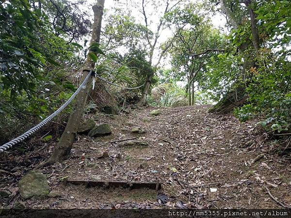 1010石雲森林步道、石灰坑山 (14).jpg