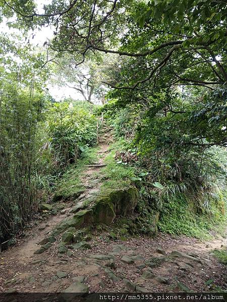 1010石雲森林步道、石灰坑山 (36).jpg