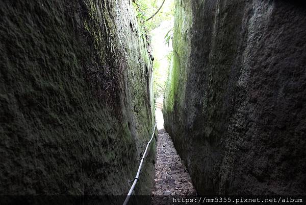 0120金龜岩、猴洞、一線天、仙洞步道 (32).JPG