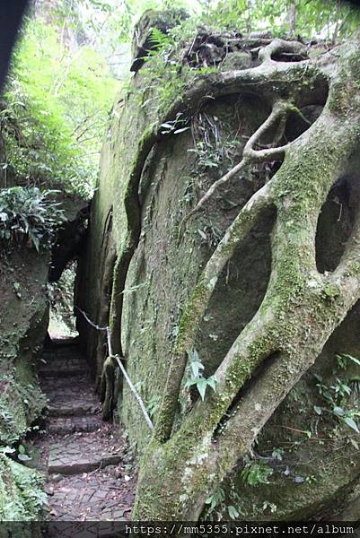 0120金龜岩、猴洞、一線天、仙洞步道 (36).JPG