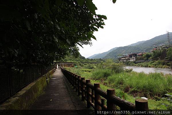 I0601逮魚堀自行車道水柳腳步道 (8).JPG