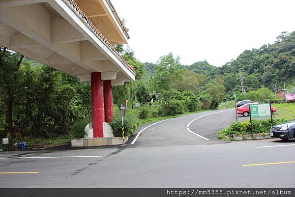 I0601逮魚堀自行車道水柳腳步道 (57).JPG