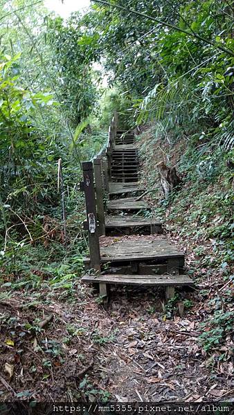 0824文林古道、鄧雨賢紀念公園 (16).jpg