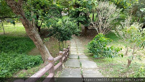 0824文林古道、鄧雨賢紀念公園 (37).jpg