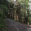 0625特富野古道 (17).jpg