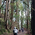 0625特富野古道 (68).jpg