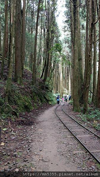 0625特富野古道 (92).jpg