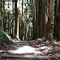 0625特富野古道 (109).jpg