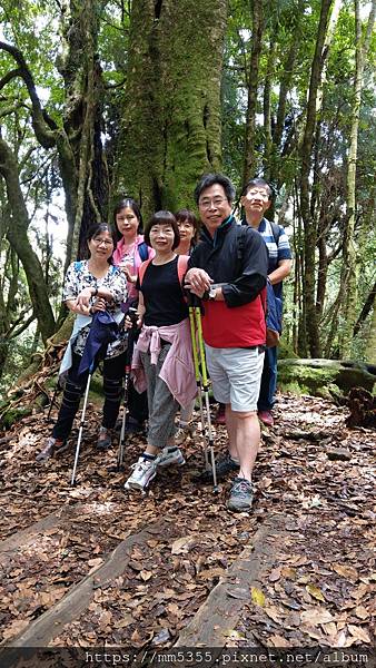 0625特富野古道 (116).jpg