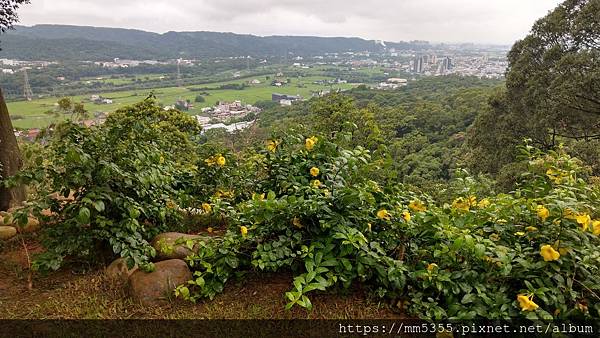 0927雲夢山丘 (38).jpg