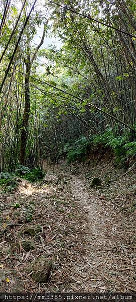 20201122_113400.jpg