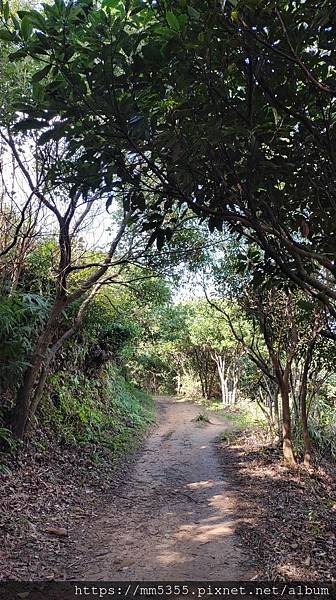20201226_101507.jpg