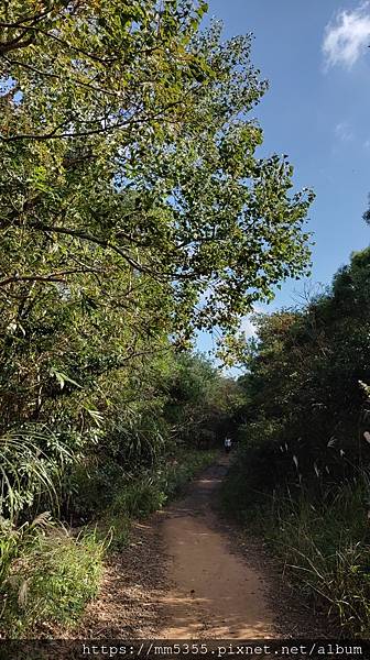 20201226_102520.jpg
