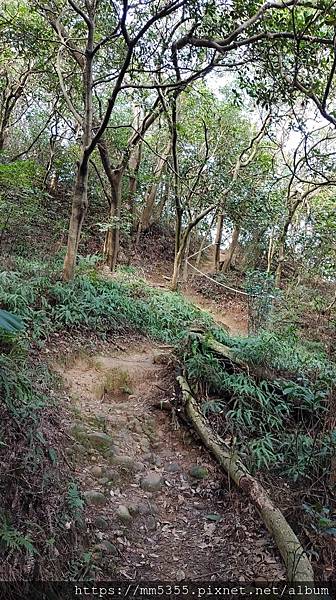 20201226_110436.jpg