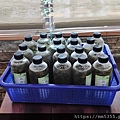 20220924_141305.jpg