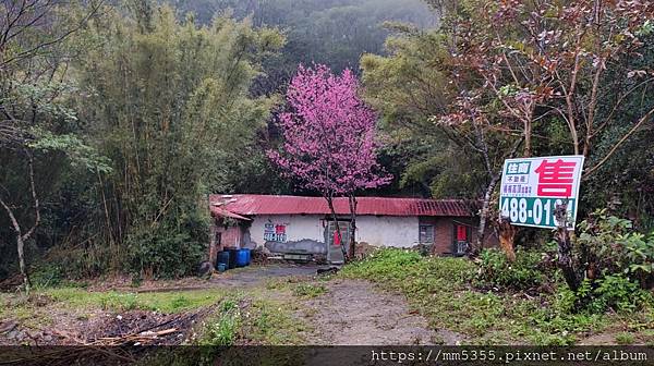 新竹縣新埔鎮九芎湖登山步道繞一圈---1120205