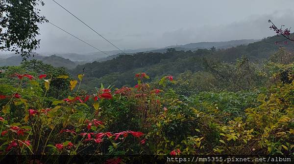 新竹縣新埔鎮九芎湖登山步道繞一圈---1120205