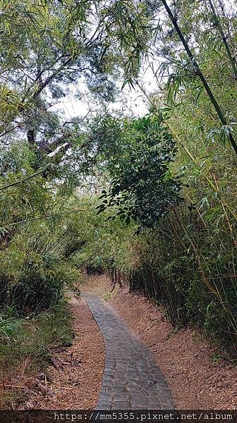 新竹縣新埔鎮九芎湖登山步道繞一圈---1120205