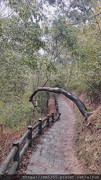 新竹縣新埔鎮九芎湖登山步道繞一圈---1120205