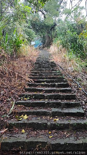 新竹縣新埔鎮九芎湖登山步道繞一圈---1120205