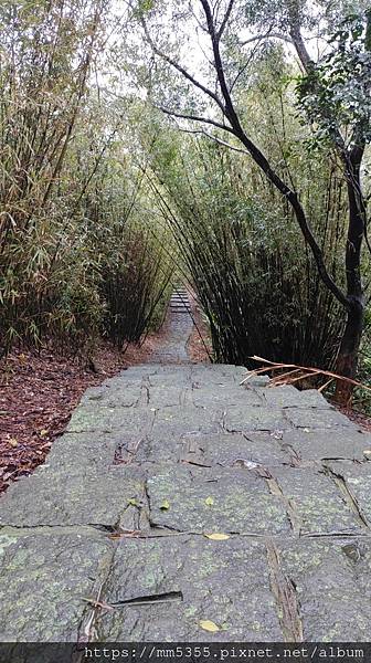 新竹縣新埔鎮九芎湖登山步道繞一圈---1120205