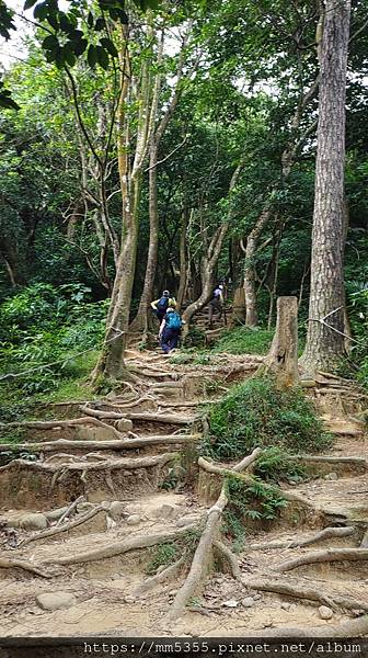 新竹縣芎林鄉石壁潭山、飛鳳山--120902