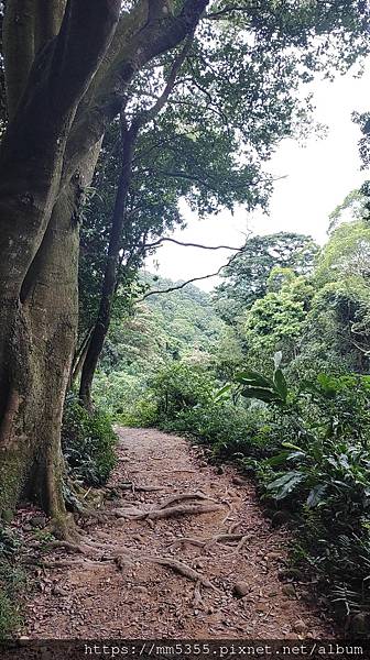 新竹縣芎林鄉石壁潭山、飛鳳山--120902