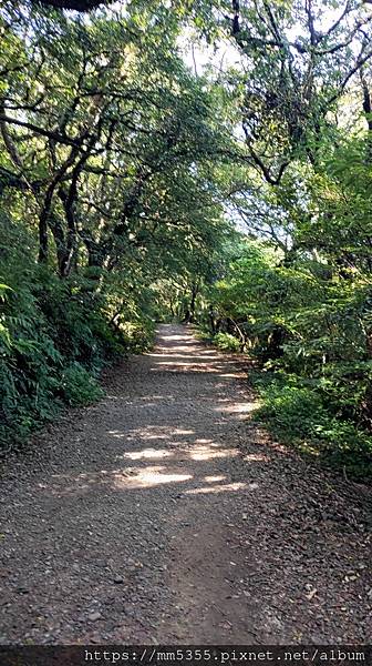 陽明山國家公園大屯公園、二子坪、面天山--1120916