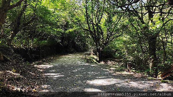 陽明山國家公園大屯公園、二子坪、面天山--1120916