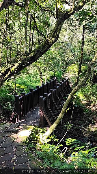 陽明山國家公園大屯公園、二子坪、面天山--1120916