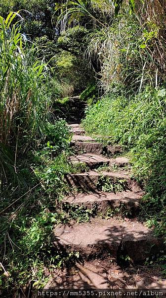 陽明山國家公園大屯公園、二子坪、面天山--1120916