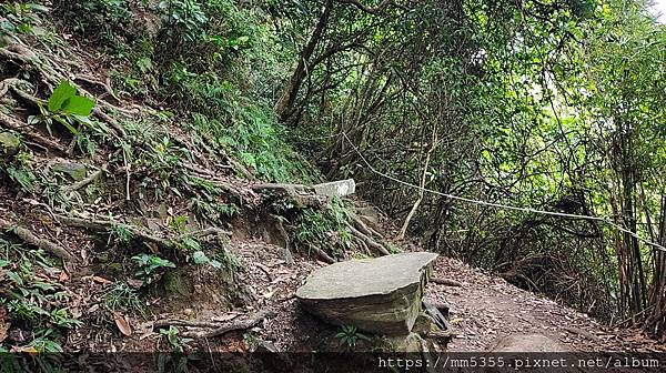 新北市五股區林梢步道、北橫古道全程--1121022