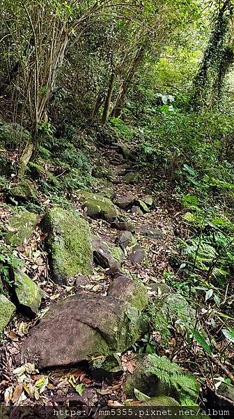 新北市五股區林梢步道、北橫古道全程--1121022