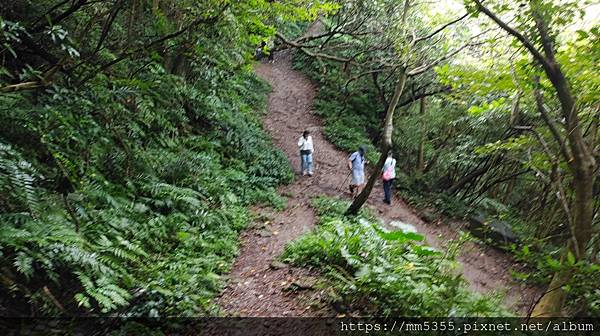 新北市五股區林梢步道、北橫古道全程--1121022